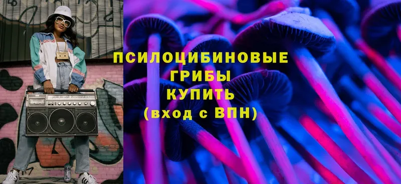 цены наркотик  Верхняя Пышма  Псилоцибиновые грибы Magic Shrooms 